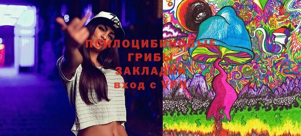 прущая мука Новодвинск