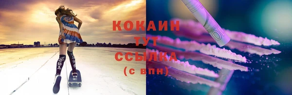 гашик Новокубанск