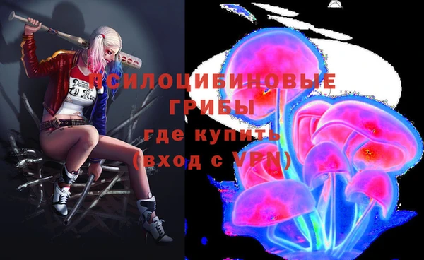 мескалин Новозыбков