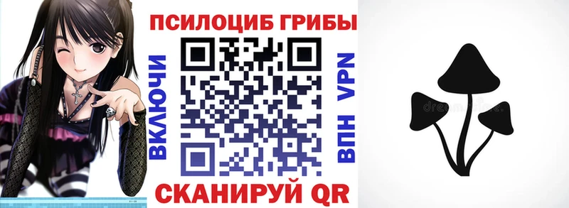 Купить  Ак-Довурак  Псилоцибиновые грибы Psilocybe 